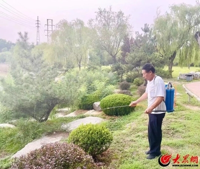 建筑加固后的病蟲害防治，建筑加固后如何有效