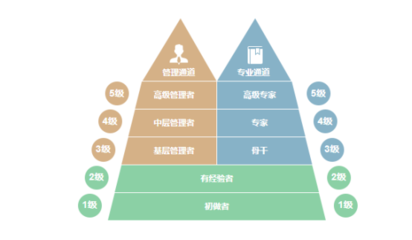 加固公司職業(yè)發(fā)展路徑，加固公司職業(yè)發(fā)展路徑 行業(yè)新聞 第2張