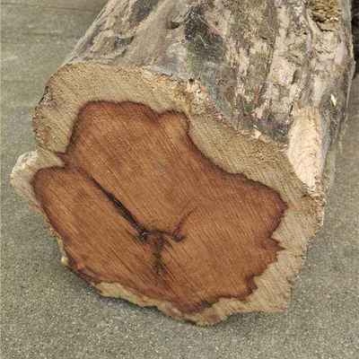 如何檢測罩面漆VOC含量，罩面漆VOC含量檢測方法及要點