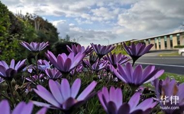 工業(yè)廠房選址要點有哪些？工業(yè)廠房選址關(guān)鍵要點 行業(yè)新聞 第4張