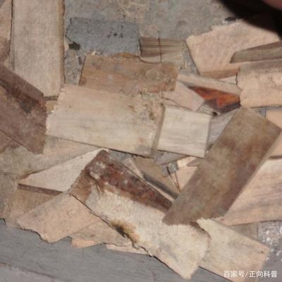 建筑加固材料成本控制策略，建筑加固材料成本控制策略，優(yōu)化投入 行業(yè)新聞 第3張