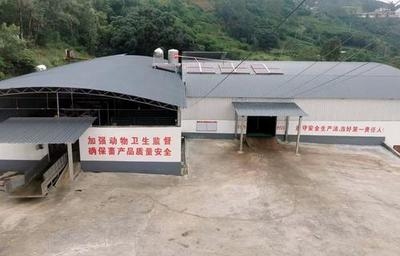 高效廠房布局案例分析，高效廠房布局案例，優(yōu)化生產(chǎn)空間的 行業(yè)新聞 第3張