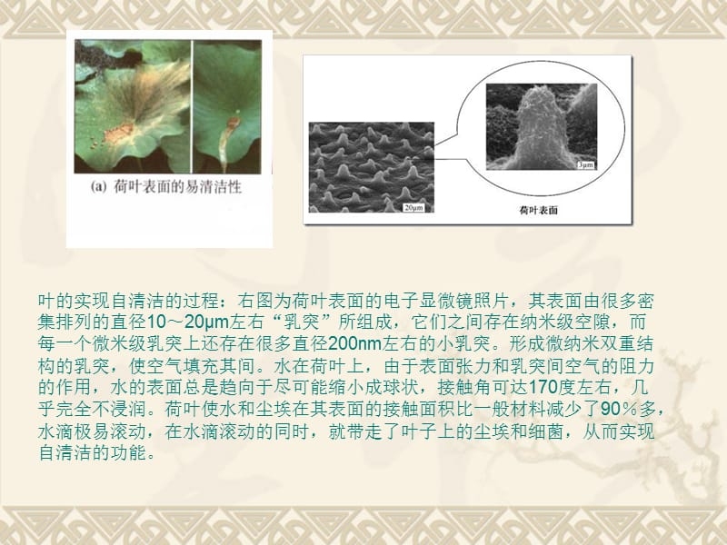 納米材料加固技術(shù)原理，納米材料加固技術(shù)原理，微觀機(jī)制與宏觀應(yīng)用的深度解析 行業(yè)新聞 第1張