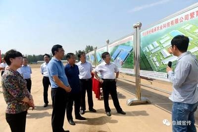 面試常見問題及應(yīng)對策略，面試常見問題及應(yīng)對策略，解鎖求職成功 行業(yè)新聞 第1張