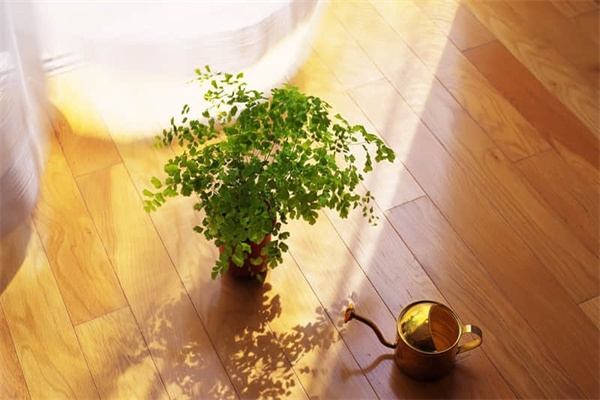 8mm鋼板厚度檢測方法，8mm鋼板厚度檢測，方法與要點(diǎn) 行業(yè)新聞 第1張