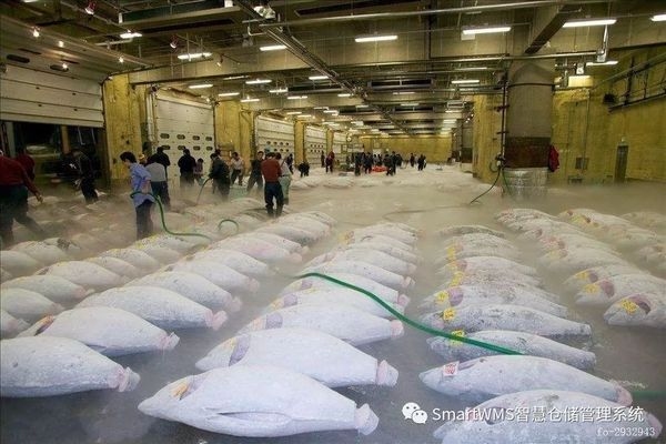 廠房選址的關鍵考量因素，廠房選址，關鍵考量因素全解析，廠房選址的五大關鍵考量因素全解析 行業(yè)新聞 第5張