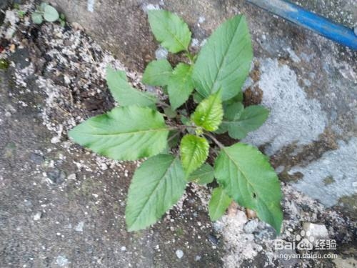 厚鋼板焊接預(yù)熱溫度控制，厚鋼板焊接預(yù)熱溫度控制要點(diǎn)與方法