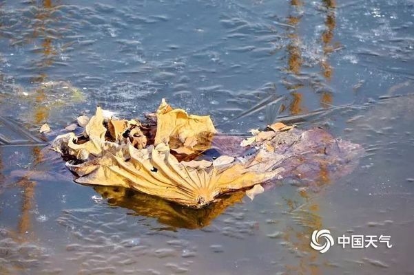 低溫環(huán)境砌體工程施工技巧，低溫環(huán)境下砌體工程施工技巧全解析