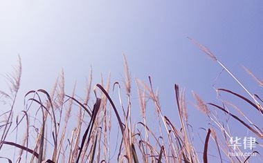 廠房資產(chǎn)減值跡象識(shí)別方法，廠房資產(chǎn)減值跡象的精準(zhǔn)識(shí)別，方法 行業(yè)新聞 第1張