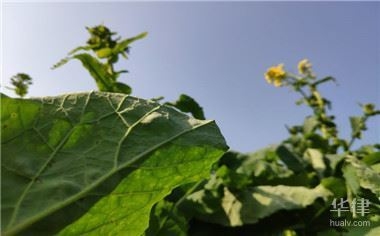 不同用途土地使用權(quán)年限對(duì)比，不同用途土地使用權(quán)年限大 行業(yè)新聞 第2張