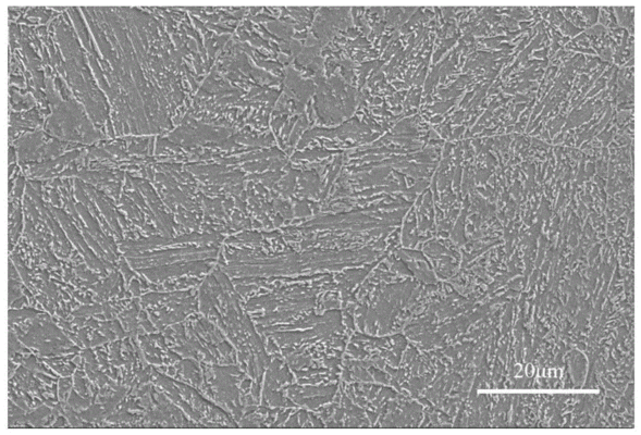 不同環(huán)境下鋼板耐久性對(duì)比，鋼板耐久性，不同環(huán)境條件下的性能較量，析不同環(huán)境下鋼板耐久性的差異與特點(diǎn)，探尋鋼板在不同環(huán)境下的耐久性表現(xiàn) 行業(yè)新聞 第1張