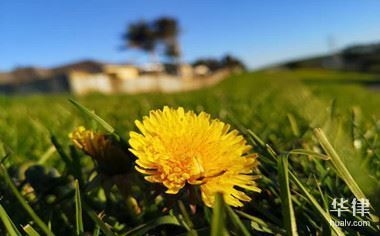 廠(chǎng)房拆遷補(bǔ)償款稅收優(yōu)惠，廠(chǎng)房拆遷補(bǔ)償款稅收優(yōu)惠，政策解讀 行業(yè)新聞 第5張