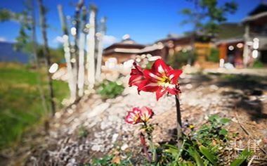 廠(chǎng)房拆遷補(bǔ)償款稅收優(yōu)惠，廠(chǎng)房拆遷補(bǔ)償款稅收優(yōu)惠，政策解讀 行業(yè)新聞 第3張