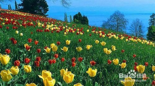 廠房綠化對(duì)環(huán)境的具體益處，廠房綠化對(duì)改善環(huán)境的五大具體益處 行業(yè)新聞 第6張