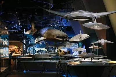 國家博物館加固對游客的影響，國家博物館加固工程對游客參觀體驗(yàn)的影響分析 行業(yè)新聞 第2張