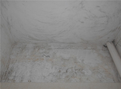 加固后建筑性能檢測(cè)方法，加固后建筑性能檢測(cè)方法與評(píng)估技術(shù)研究 行業(yè)新聞 第2張