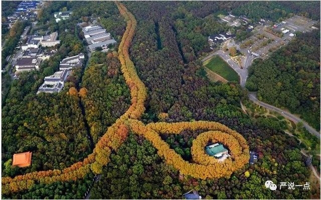 仿古材料在建筑加固中的應(yīng)用，仿古材料在建筑加固中的創(chuàng)新應(yīng)用與實(shí)踐 行業(yè)新聞 第6張