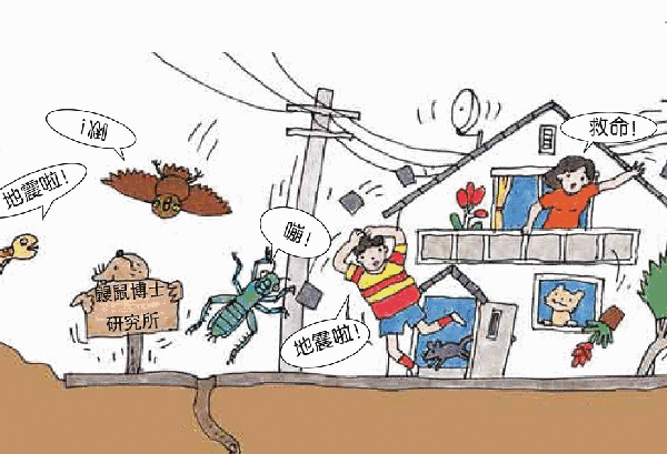 地震多發(fā)區(qū)農(nóng)居安全措施，地震多發(fā)區(qū)農(nóng)居安全措施 行業(yè)新聞 第4張