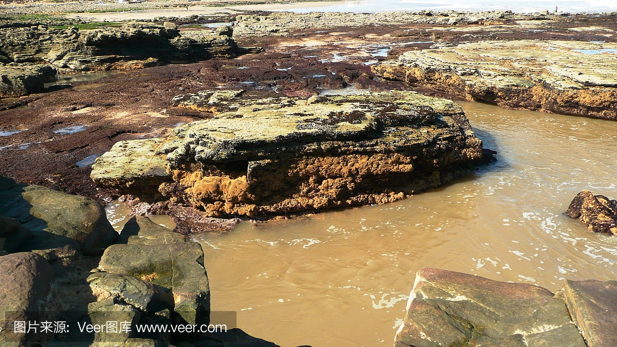 黃沙撒布技術(shù)要點(diǎn)，黃沙撒布技術(shù)要點(diǎn)解析與應(yīng)用指南，黃沙撒布技術(shù)要點(diǎn)解析與應(yīng)用指南 行業(yè)新聞 第5張
