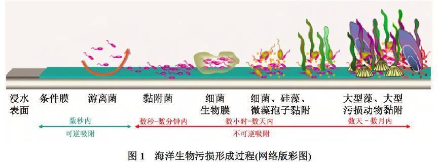 海洋環(huán)境下鋼板防腐技術(shù) 行業(yè)新聞 第4張