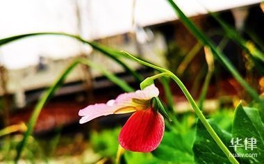 規(guī)劃為商業(yè)用地 行業(yè)新聞 第3張