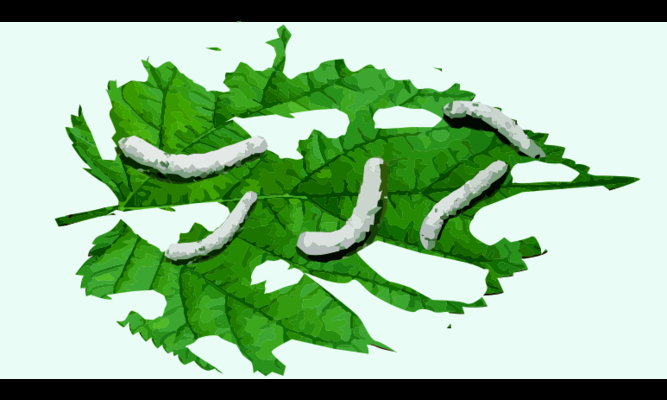 加固工程人工成本優(yōu)化策略 行業(yè)新聞 第5張