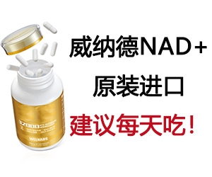 包鋼無縫鋼管產(chǎn)品高端化案例 行業(yè)新聞 第6張 包鋼無縫鋼管產(chǎn)品高端化案例 行業(yè)新聞 第6張