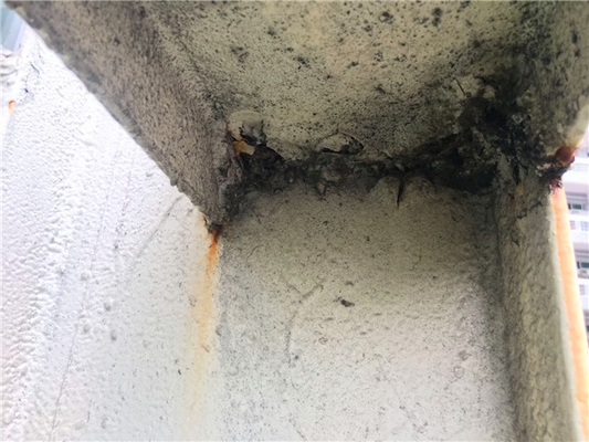 房屋安全評(píng)估流程介紹 行業(yè)新聞 第2張 房屋安全評(píng)估流程介紹 行業(yè)新聞 第2張