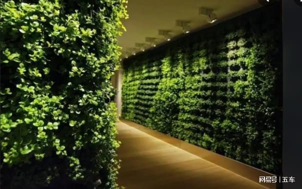 加固后墻體植物影響評(píng)估 行業(yè)新聞 第3張 加固后墻體植物影響評(píng)估 行業(yè)新聞 第3張