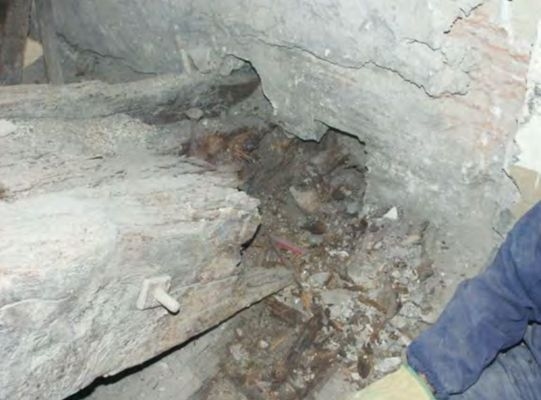 建筑加固后的病蟲(chóng)害防治 行業(yè)新聞 第2張 建筑加固后的病蟲(chóng)害防治 行業(yè)新聞 第2張