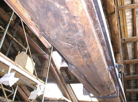 建筑加固后的病蟲(chóng)害防治 行業(yè)新聞 第4張 建筑加固后的病蟲(chóng)害防治 行業(yè)新聞 第4張