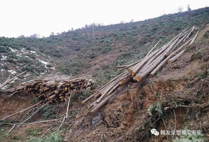 建筑加固材料的環(huán)保標(biāo)準(zhǔn) 行業(yè)新聞 第3張