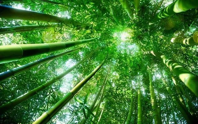 建筑結(jié)構(gòu)抗震設(shè)計(jì)中的剛度比應(yīng)用 行業(yè)新聞 第3張 建筑結(jié)構(gòu)抗震設(shè)計(jì)中的剛度比應(yīng)用 行業(yè)新聞 第3張