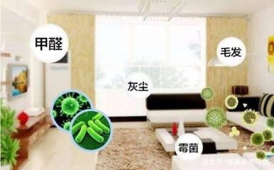 甲醛超標(biāo)對健康的長期影響 行業(yè)新聞 第4張