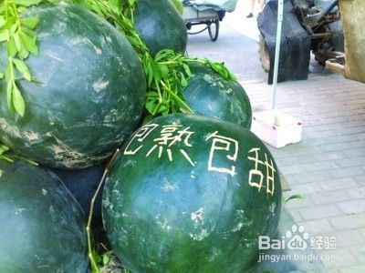 建筑英才網(wǎng)簡歷優(yōu)化技巧 行業(yè)新聞 第2張 建筑英才網(wǎng)簡歷優(yōu)化技巧 行業(yè)新聞 第2張