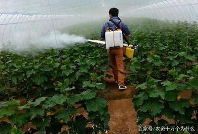 建筑病蟲害防治環(huán)保藥劑選擇 行業(yè)新聞 第5張