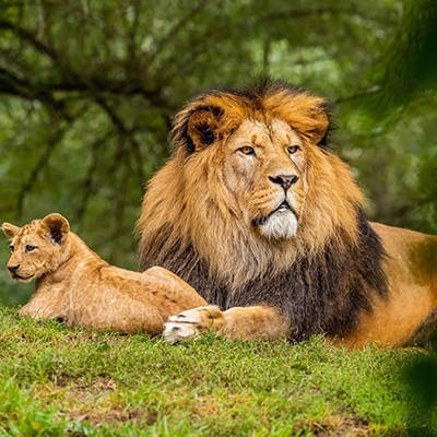 建筑抗震加固技術(shù)的發(fā)展趨勢 行業(yè)新聞 第4張