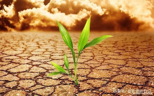 開發(fā)商財務報表在哪里查 行業(yè)新聞 第5張