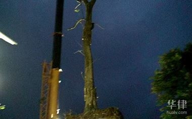 開一家50間房的賓館需要投資多少錢 行業(yè)新聞 第5張 開一家50間房的賓館需要投資多少錢 行業(yè)新聞 第5張