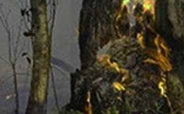 甲類廠房火災(zāi)應(yīng)急預(yù)案制定，類廠房火災(zāi)應(yīng)急響應(yīng)策略與預(yù)案制定