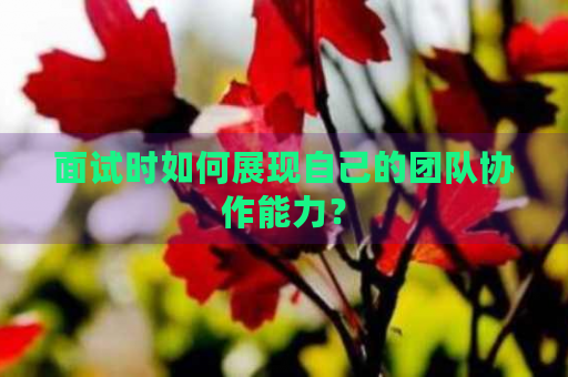 面試展現(xiàn)團(tuán)隊(duì)協(xié)作的實(shí)例選擇，中如何展示團(tuán)隊(duì)協(xié)作能力，精選實(shí)例 行業(yè)新聞 第2張