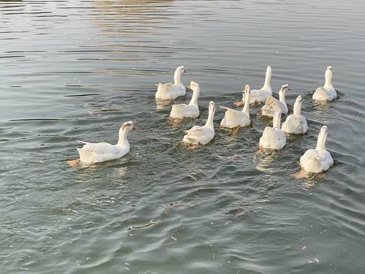 甲級設(shè)計院的市場競爭力優(yōu)勢，級設(shè)計院在建筑行業(yè)中的市場競爭力分析 行業(yè)新聞 第2張