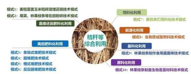 農(nóng)業(yè)廢棄物資源化利用，變廢為寶，解鎖農(nóng)業(yè)廢棄物資源化利用新路徑 行業(yè)新聞 第1張