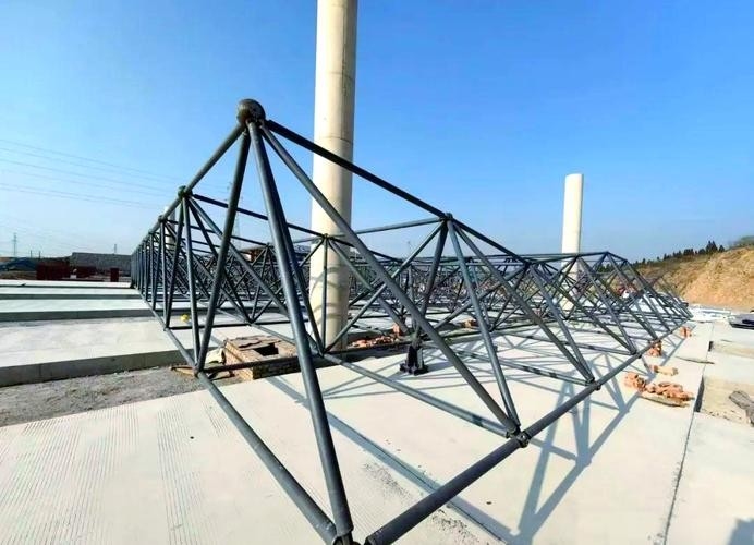 球形網(wǎng)架結構圖片 行業(yè)新聞 第1張 球形網(wǎng)架結構圖片 行業(yè)新聞 第1張