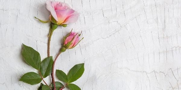 瀘州設計公司有哪些（瀘州設計公司有哪些根據(jù)您的問題我為您整理了瀘州市部分設計公司的信息） 行業(yè)新聞 第3張