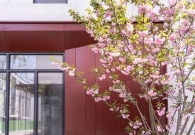 吳江鋼結(jié)構(gòu)廠有出租 行業(yè)新聞 第1張