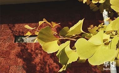 靈山鋼結(jié)構(gòu)公司是勞務(wù)派遣嗎（靈山鋼結(jié)構(gòu)公司是勞務(wù)派遣嗎青島靈山鋼構(gòu)有限公司是勞務(wù)派遣嗎） 行業(yè)新聞 第2張