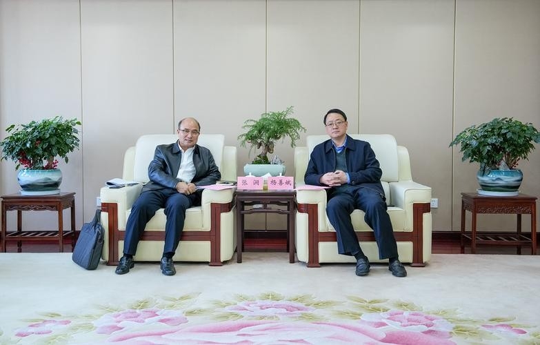 金寨鋼結(jié)構(gòu)公司董事長(zhǎng)背景（金寨鋼結(jié)構(gòu)公司董事長(zhǎng)背景是什么？） 行業(yè)新聞 第6張