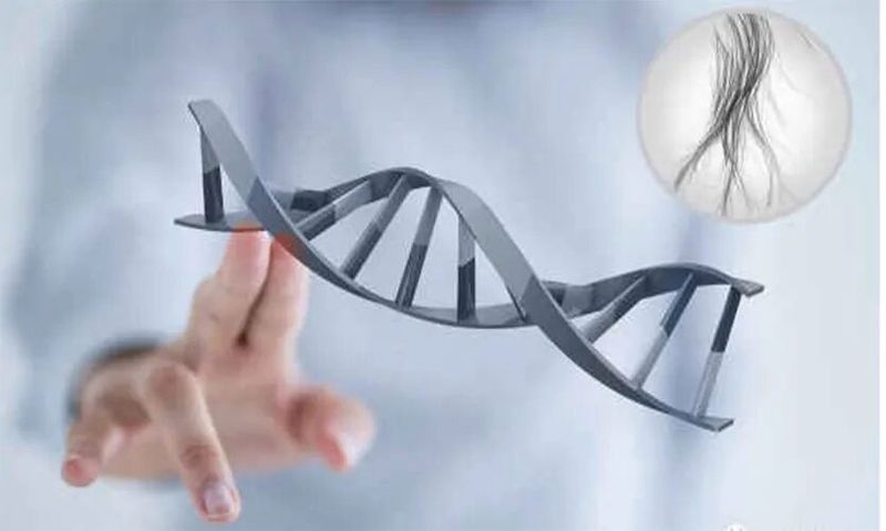 如何判斷親子鑒定機構(gòu)是否正規(guī)？（親子鑒定機構(gòu)怎么判斷是否正規(guī)親子鑒定機構(gòu)是否正規(guī)）