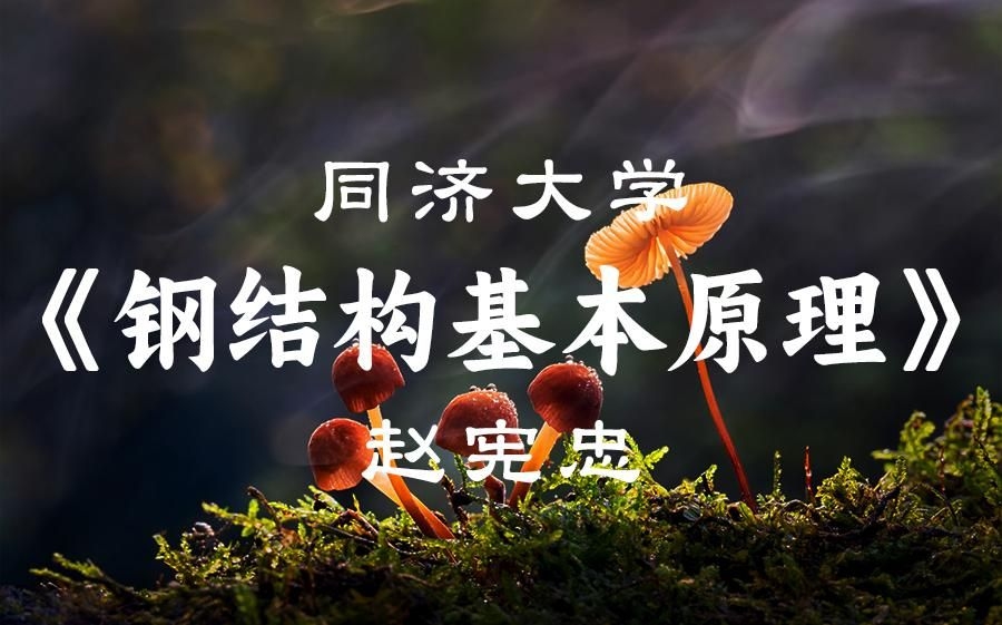 給我一份《鋼結(jié)構(gòu)基本原理》的詳細目錄（《鋼結(jié)構(gòu)基本原理》的詳細目錄）